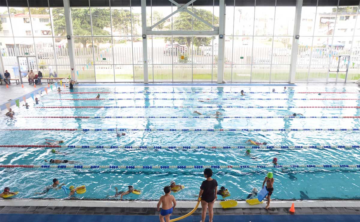 ¿Te gustarí­a aprender a nadar? Top 5 de las mejores Escuelas de Natación en Toluca